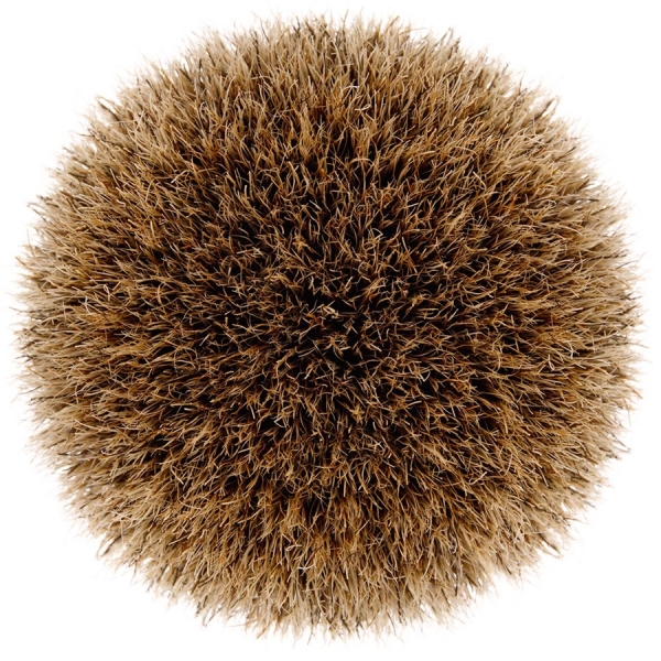 Photograph Paul Hampton Brush on One Eyeland